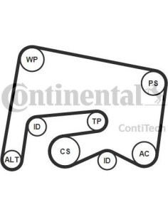 Juego de correas trapeciales poli V
