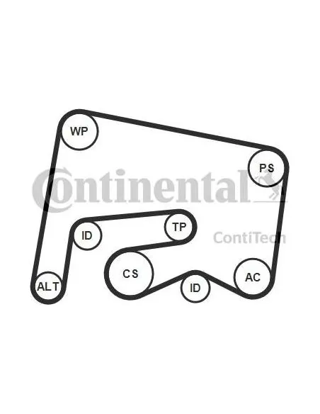 Correa auxiliar Poly-V Continental 6PK2155K1 6 canales 2155 mm