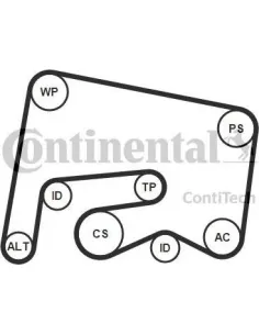 Bomba de agua + kit de correa poli V