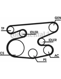 Juego de correas trapeciales poli V