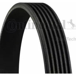 Correa trapecial poli V