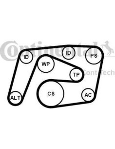 Juego de correas trapeciales poli V