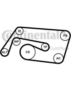 Juego de correas trapeciales poli V