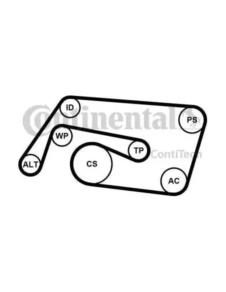 Correa auxiliar Poly-V Continental 6PK2260K2 6 canales 2260 mm
