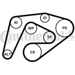 Juego de correas trapeciales poli V