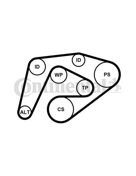 Correa auxiliar Poly-V Continental 6PK2260K3 6 canales 2260 mm