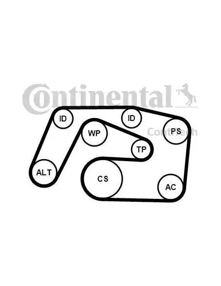 Correa auxiliar Poly-V Continental 6PK2271K1 6 canales 2271 mm