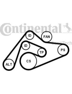 Juego de correas trapeciales poli V