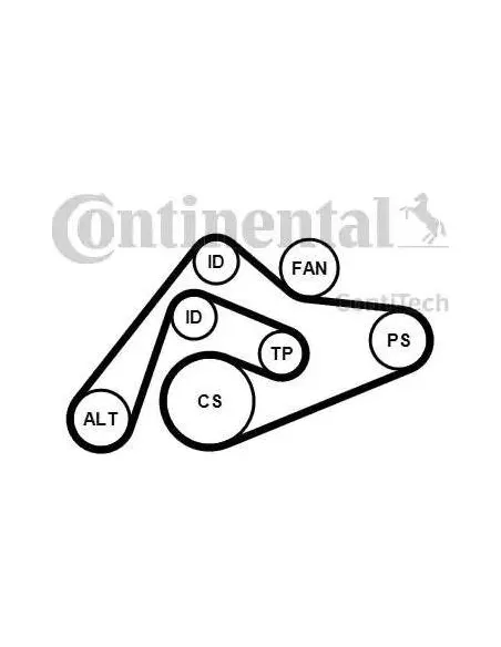 Correa auxiliar Poly-V Continental 6PK2404K1 6 canales 2404 mm