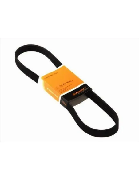 6PK2490 Correa trapecial poli V Dayco