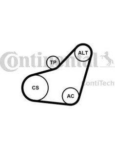 Juego de correas trapeciales poli V