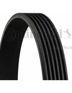 Correa poli-V Dayco 6PK842ELAST 6 canales 842 mm