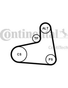 Juego de correas trapeciales poli V