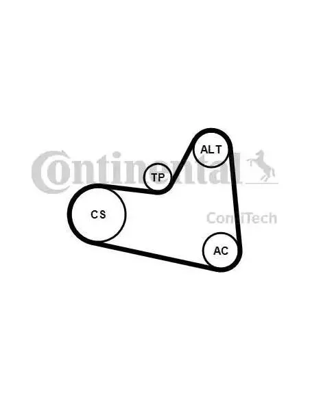 Correa auxiliar Poly-V Continental 6PK976K1 6 canales 976 mm