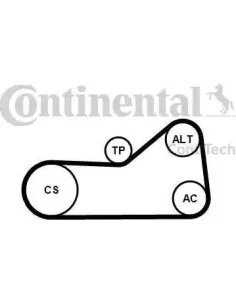 Juego de correas trapeciales poli V