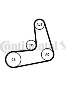 Juego de correas trapeciales poli V