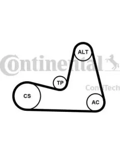 Juego de correas trapeciales poli V