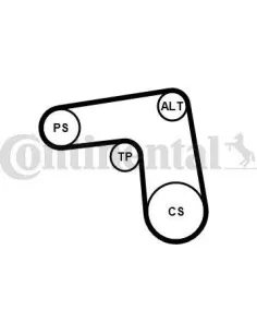 Juego de correas trapeciales poli V