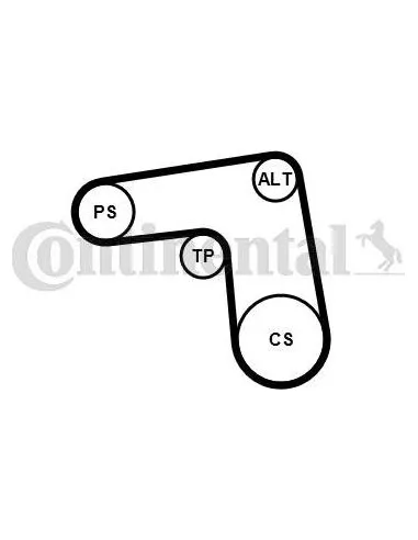 Juego de correas trapeciales poli V