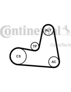 Juego de correas trapeciales poli V