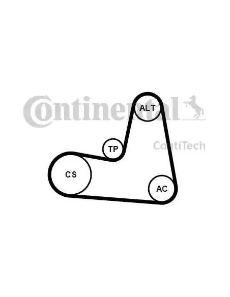 Correa auxiliar Poly-V Continental 7PK1125K1 7 canales 1125 mm