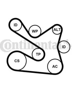 Tensor de correa, correa poli V