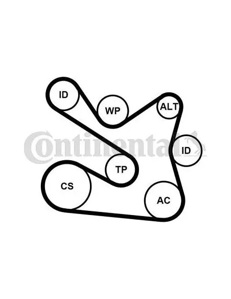 Correa auxiliar Poly-V Continental 7PK1605K1 7 canales 1605 mm