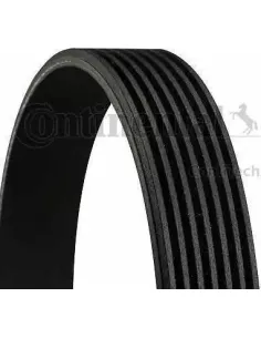 Correa trapecial poli V