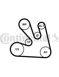 Juego de correas trapeciales poli V