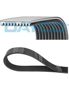 Correa poli-V Dayco 10PK1805HD 10 canales 1805 mm