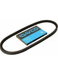 Correa trapezoidal BMW / Fiat 13A0975C 975 mm