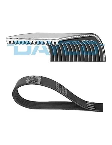 Correa poli-V Dayco 14PK1286HD 14 canales 1286 mm