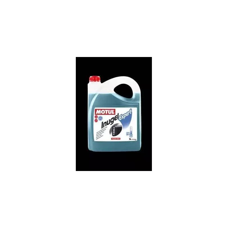 Aceite Motul Inugel Expert -37ºc 102928