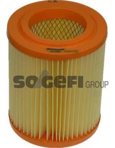 A1392 Filtro de aire Purflux en Oferta