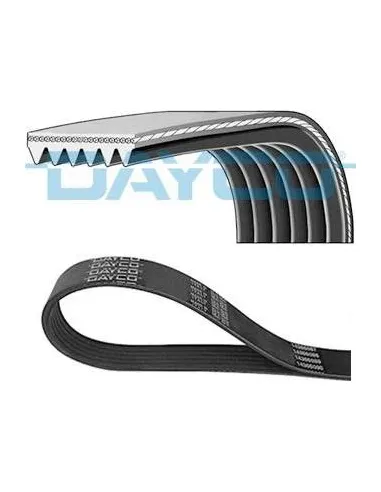 Correa poli-V Dayco 6PK1042EE 6 canales 1042 mm