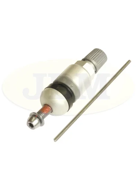 JBM12919