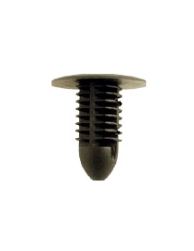 JBM13037