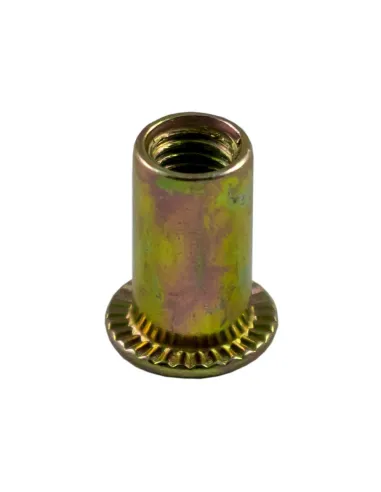 JBM13237