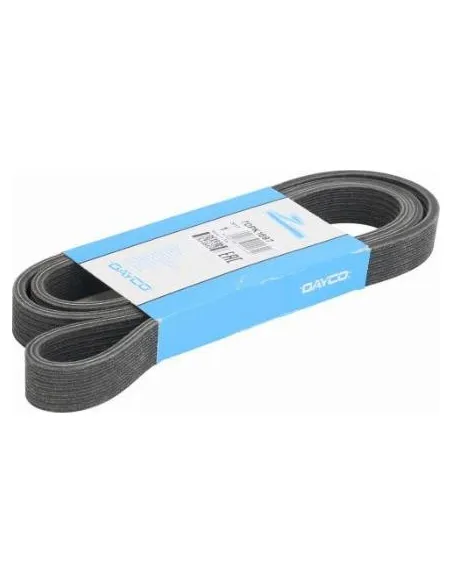 7DPK1697 Correa trapecial poli V Dayco