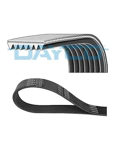 Correa poli-V Dayco 7PK1557S 7 canales 1557 mm