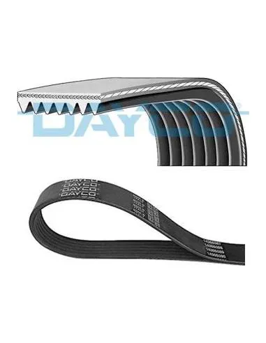 Correa poli-V Dayco 7PK1667S 7 canales 1667 mm