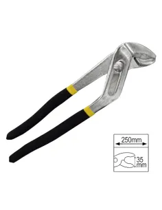 JBM50567