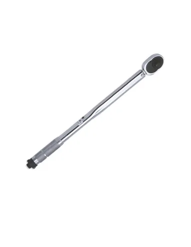JBM51262
