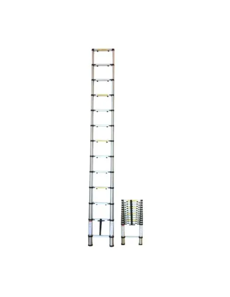 JBM51984