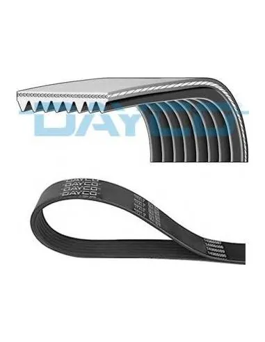 Correa poli-V Dayco 8PK1425HD 8 canales 1425 mm