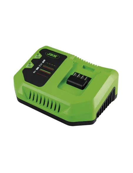 60017 Cargador RãPido 20V - 6A JBM