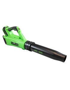 JBM60030