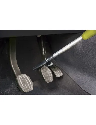 6010