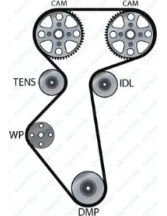941025 Correa dentada Dayco