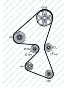 Correa de distribución Citroën / Fiat 941048 141 dientes